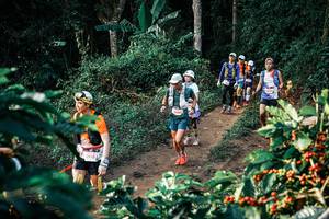 BIB: 
                            <button type="button" onclick="openModal(25825675)" class="btn btn-primary btn-sm float-right btn-popup" data-toggle="modal" data-target=".modal-high-quality">
                        <i class="fas fa-shopping-cart"></i> Add to Cart
                    </button>
                                            <button type="button" onclick="isThisMe(25825675, true)" class="btn btn-success btn-sm float-right btn-popup btn-isme hidden" data-toggle="tooltip" data-placement="bottom" title="นี่คือรูปของคุณใช่ไหม คลิกที่นี่เพื่อเอาเข้าอัลบั้ม">
                        <i class="fas fa-plus"></i> Add to album
                    </button>
                    <button type="button" onclick="isThisMe(25825675, false)" class="btn btn-warning btn-sm float-right btn-popup btn-isnotme hidden">
                        <i class="fas fa-ban"></i> Remove from album
                    </button>